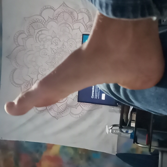 Lettuce - Picture 1 of 1